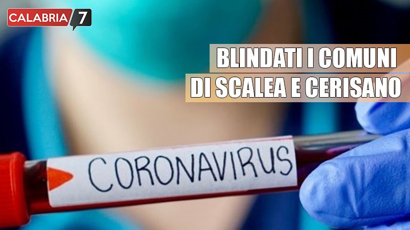 coronavirus scalea cerisano