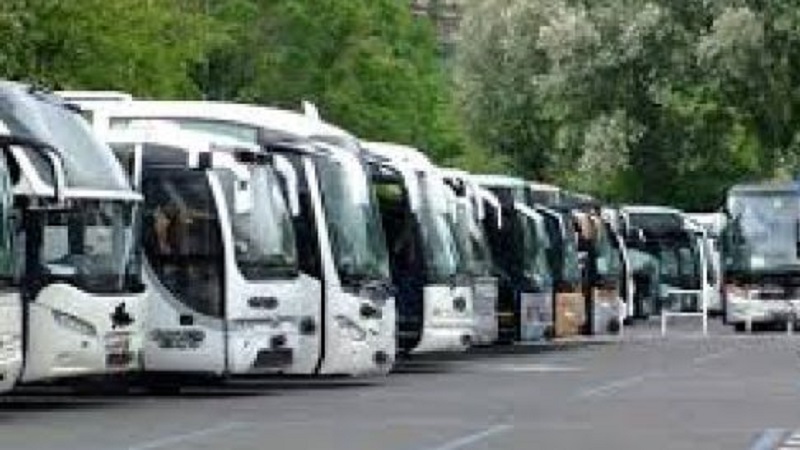 Bus gratuiti per profughi ucraini diretti in Calabria, l'iniziativa di una società di trasporto