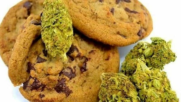 biscotti marijuana